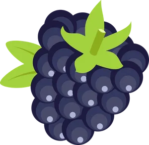 Stylized Blackberry Illustration PNG Image