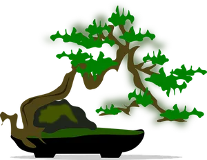 Stylized Bonsai Tree Illustration PNG Image