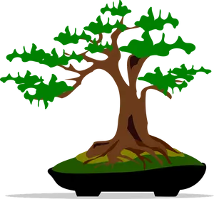 Stylized Bonsai Tree Illustration PNG Image