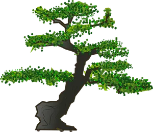 Stylized Bonsai Tree Illustration PNG Image