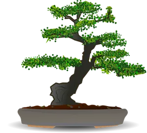 Stylized Bonsai Tree Illustration PNG Image