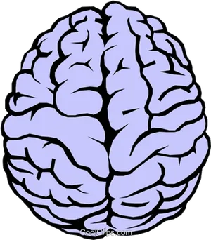 Stylized Brain Clipart PNG Image