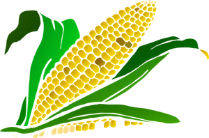 Stylized Corn Illustration PNG