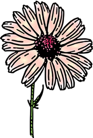 Stylized Dark Daisy Illustration PNG Image