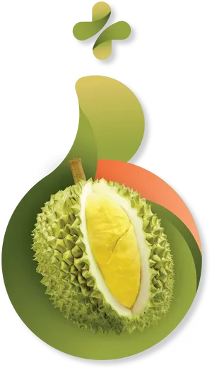 Stylized Durian Fruit Graphic PNG Image