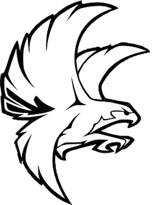 Stylized Eagle Head Outline PNG Image