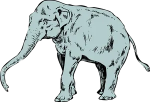 Stylized Elephant Illustration PNG Image