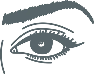 Stylized Eyeand Eyebrow Illustration PNG Image