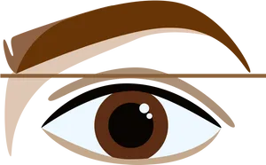 Stylized Eyeand Eyebrow Illustration PNG Image