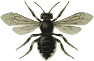 Stylized_ Flying_ Insect_ Illustration PNG Image