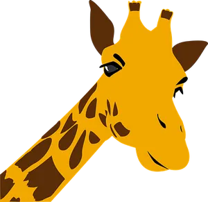 Stylized Giraffe Portrait PNG Image