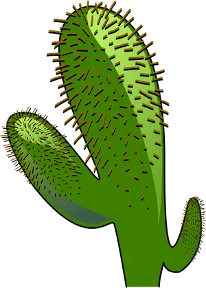 Stylized Green Cactus Illustration PNG Image