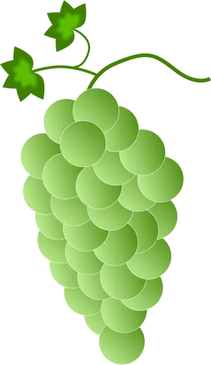 Stylized Green Grape Cluster Vector PNG Image