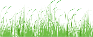 Stylized Green Meadow Vector PNG Image