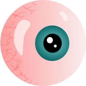 Stylized Human Eyeball Illustration.jpg PNG Image