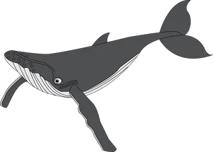 Stylized Humpback Whale Illustration PNG Image