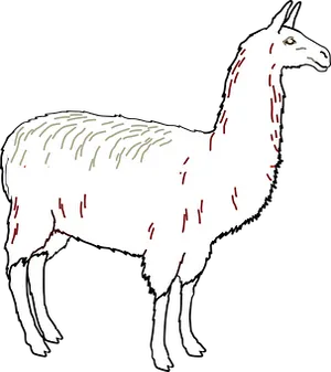 Stylized Llama Illustration PNG Image