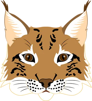 Stylized Lynx Face Illustration PNG Image