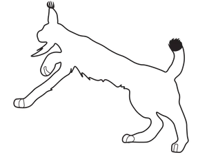 Stylized Lynx Line Art PNG Image