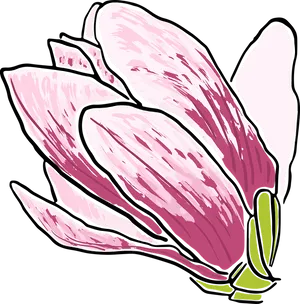 Stylized Magnolia Illustration PNG Image