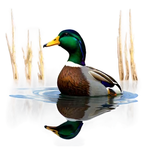 Stylized Mallard Duck Png Gdq97 PNG Image