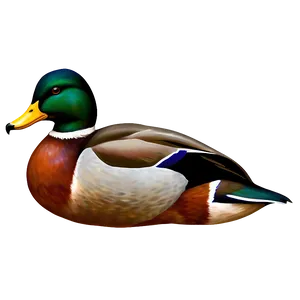 Stylized Mallard Duck Png Nom96 PNG Image