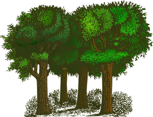 Stylized Nighttime Forest Illustration PNG Image