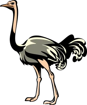 Stylized Ostrich Illustration PNG Image