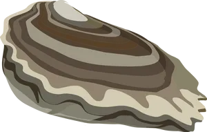 Stylized Oyster Illustration PNG Image