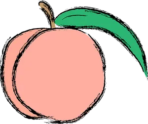 Stylized Peach Illustration PNG Image