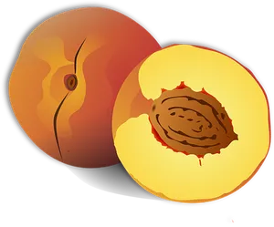 Stylized Peachand Pit Illustration PNG Image