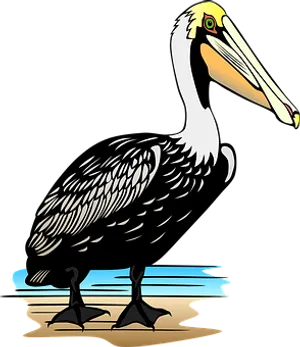 Stylized Pelican Illustration PNG Image