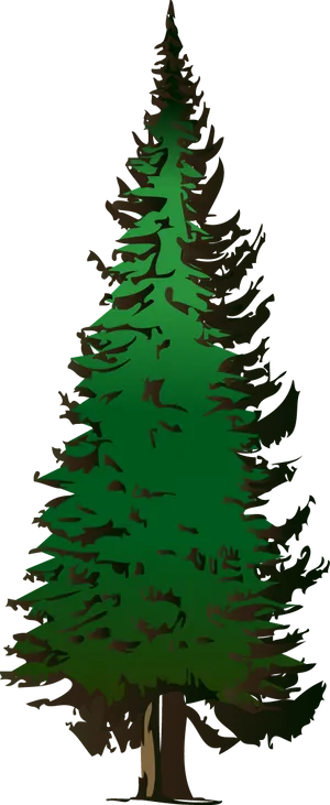 Stylized Pine Tree Illustration PNG Image