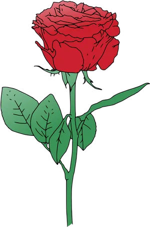 Stylized Red Rose Illustration PNG Image