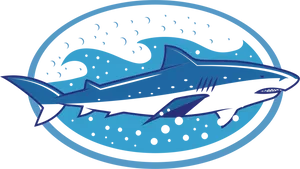 Stylized Shark Clipart PNG Image