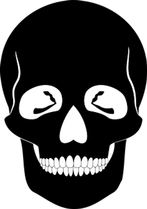 Stylized Skull Graphic PNG Image