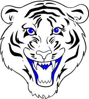 Stylized Tiger Head Graphic PNG Image