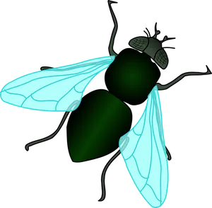 Stylized Vector Fly Illustration PNG Image