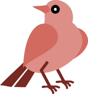 Stylized Vector Robin Illustration PNG Image