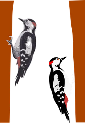 Stylized Woodpeckers Artwork PNG Image