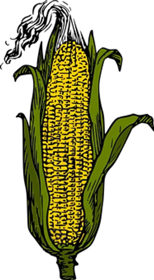 Stylized Yellow Corn Ear PNG Image