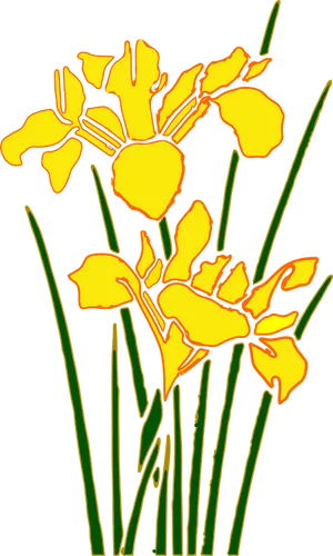 Stylized Yellow Iris Floral Art PNG Image