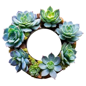 Succulent Wall Decor Png 70 PNG Image