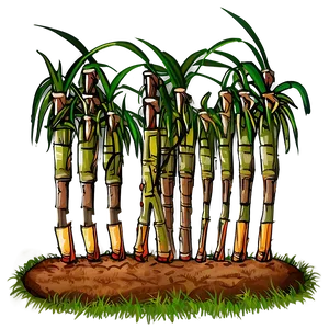 Sugarcane Plantation View Png 06262024 PNG Image