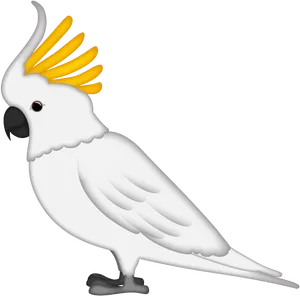 Sulphur Crested Cockatoo Illustration PNG Image