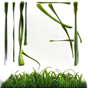 Summer Green Grass Png 06262024 PNG Image