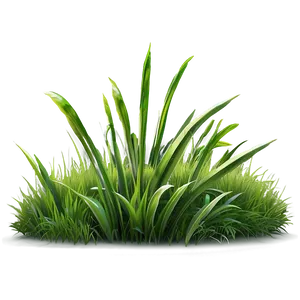 Summer Green Grass Png 94 PNG Image