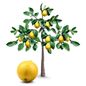 Summer Lemon Tree Scene Png Tva PNG Image