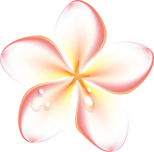 Summer Plumeria Clipart PNG Image