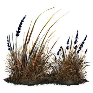 Summer Scorched Grass Png Tul PNG Image